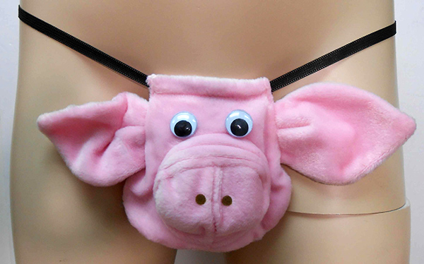 Animal Brief - Pig