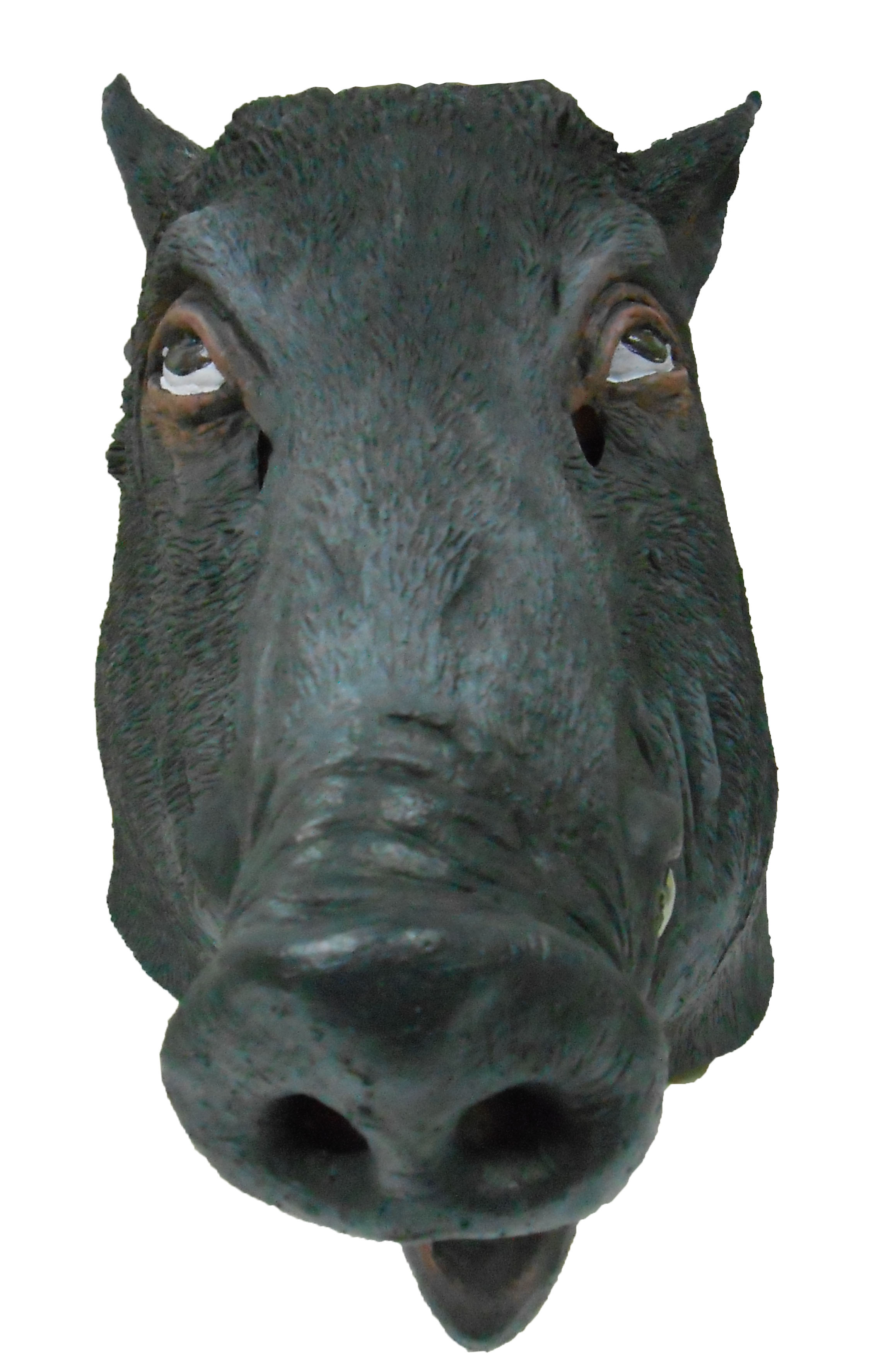 Animal mask ~ Boar