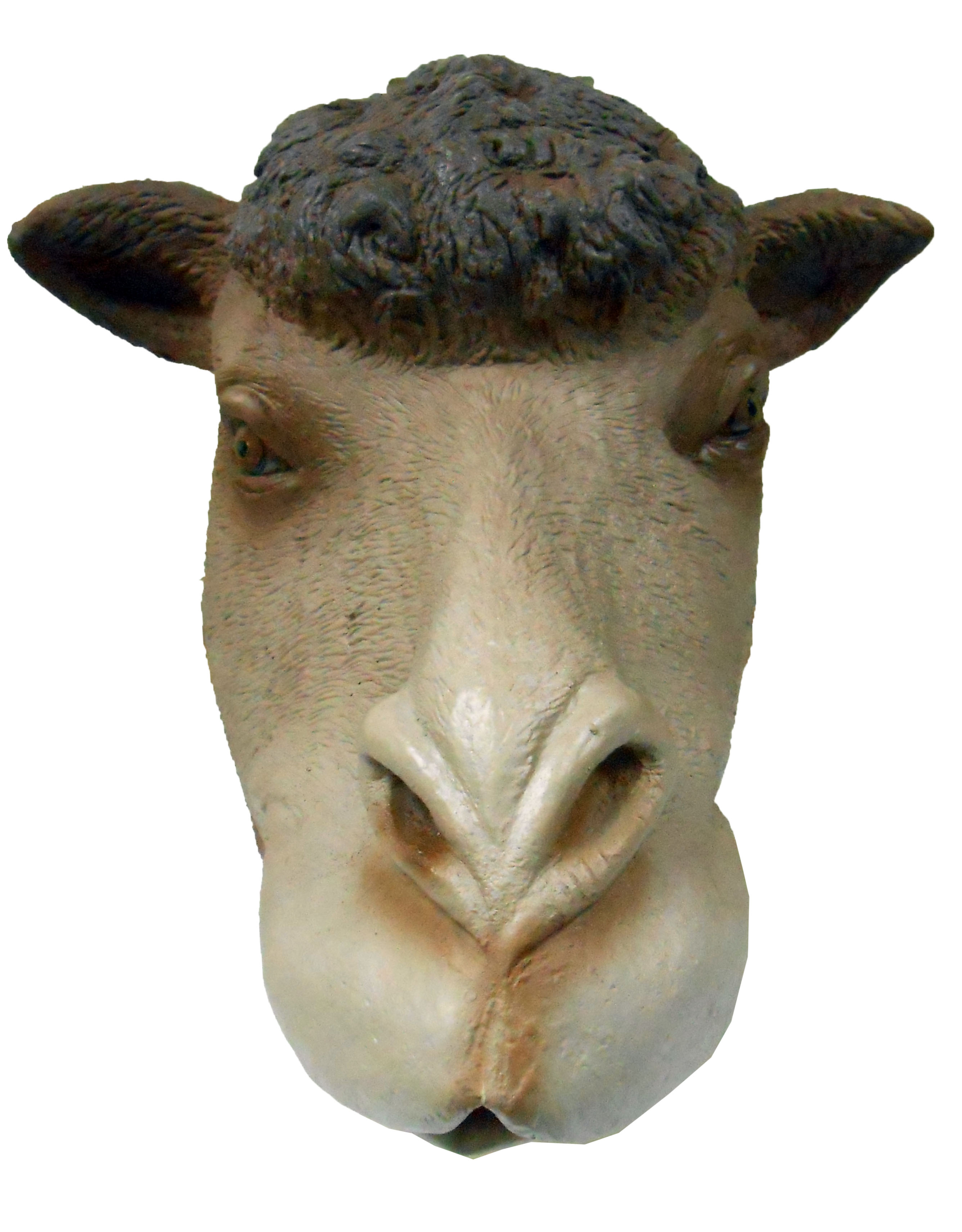 Animal mask ~ Camel