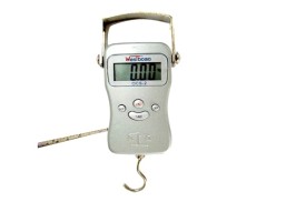 Fish Scale And Post Scale