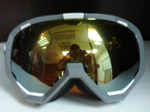 Goggle