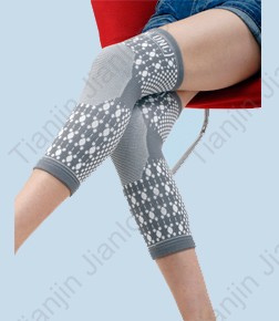 Bio-energy Magnetic Support