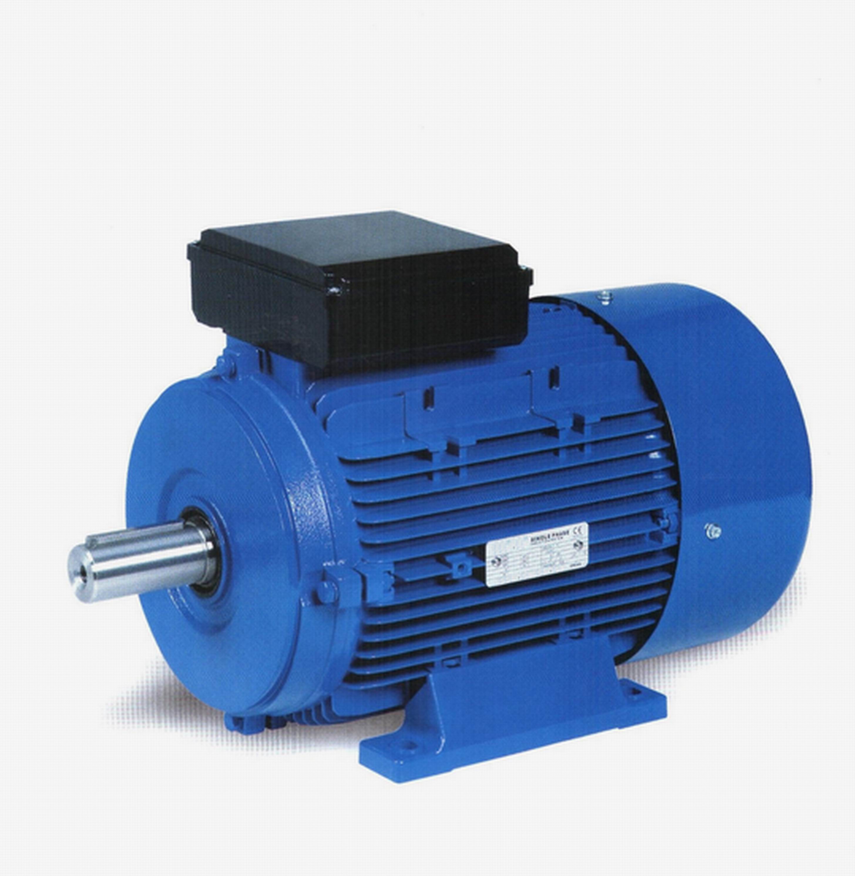 Ml(series Single-phase Dual-capacitor Asynchronous Motor)