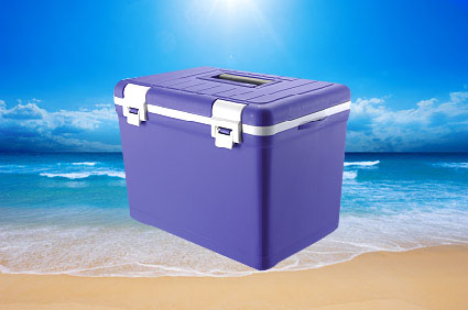 Cooler Box/vaccine Box, Cool Box, Car Cooler