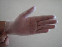 Disposable Vinyl Gloves