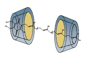 Gamma-cyclodextrin/Coenzyme Q10-inclusion complex