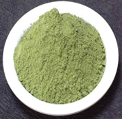 Angelica keiskei KOIDZUMI