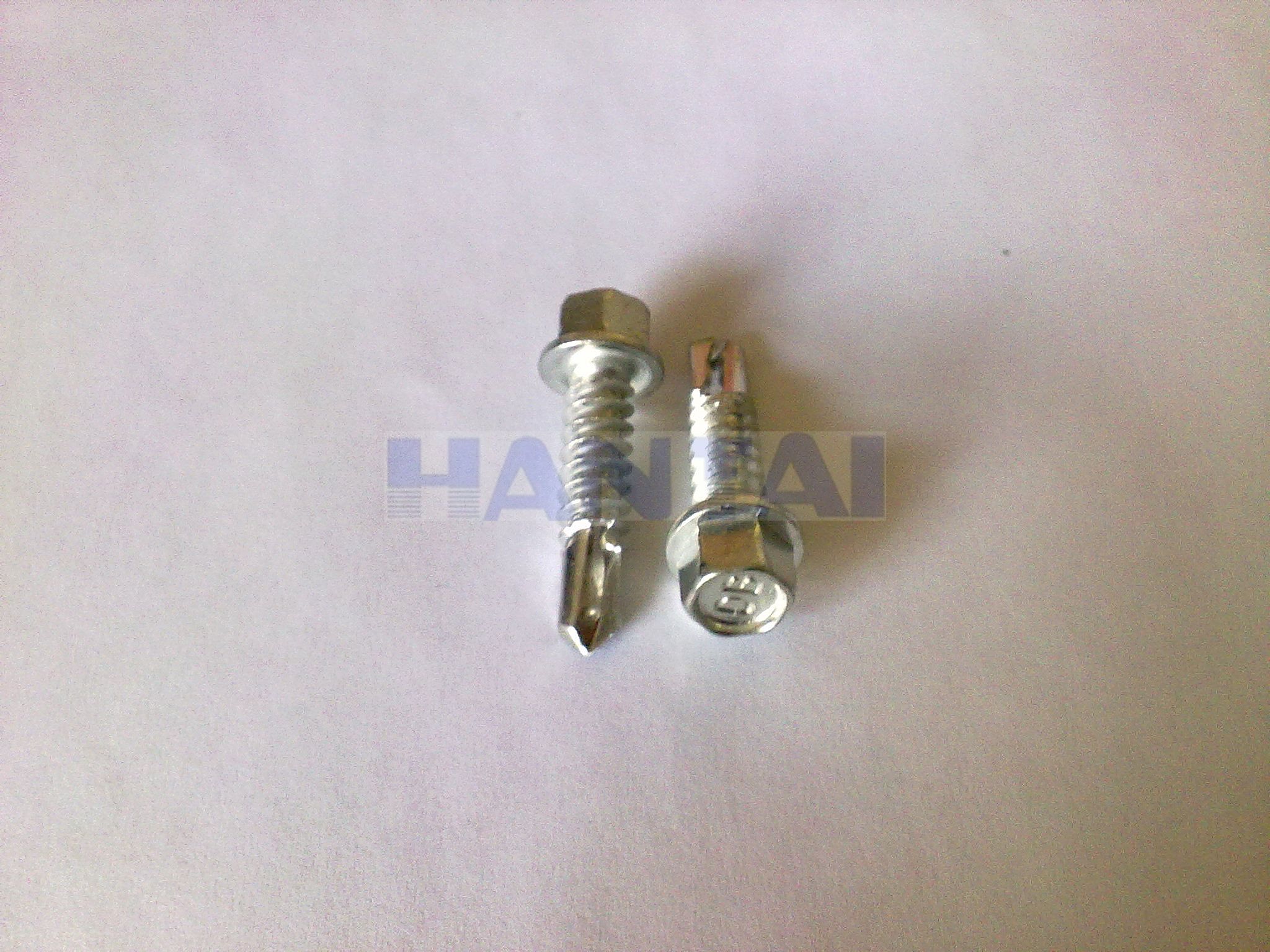 Din7504k Hex Washer Self Drilling Screw