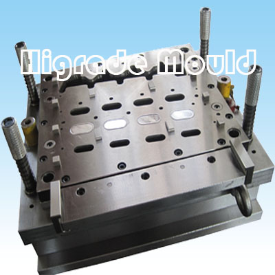 Metal Stamping Die/stamped Mould