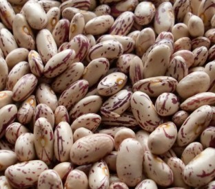 Sell Light Speckled Kidney Beans