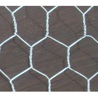 Hexagonal Wire Netting