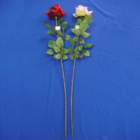 84 CM KING ROSE W/5 LVS