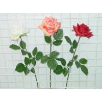 ROSE W/3 LVS