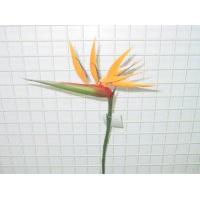 37 inches BIRD OF PARADISE SPRAY