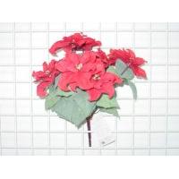 POINSETTIA /BUSH X 7