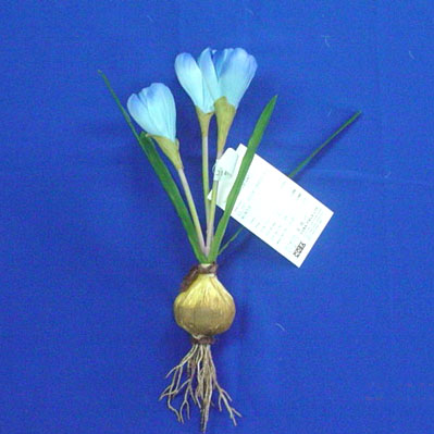 32 CM SATIN CROCUS X 2 W/BLUE