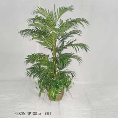 6' PARLACOUR PALM TREE W/FOLIAGE IN POT
