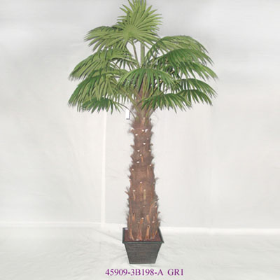 9' FAN PALM TREE IN POT