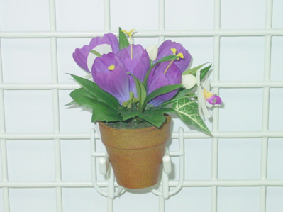 CROCUS/ORCHID/IVY POT