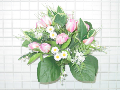 TULIP/DAISY BUSH X 25