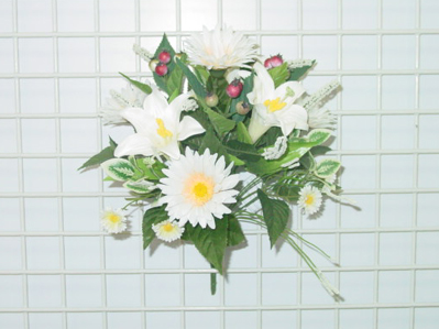 TIGER LILY /DAISY BUSH X 8