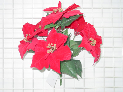 VELVET POINSETTIA