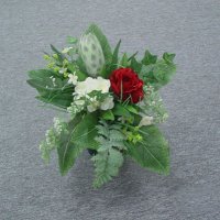 Sell 35 CM PROTEA BUSH X 9