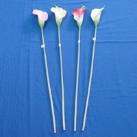 Sell 72 CM COLA LILY STEM