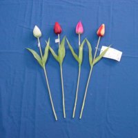 Sell 44 CM TULIP W/2 LVS