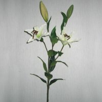 Sell TIGER LILY SPRAY X 2 W/14 LVS