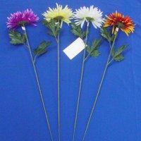 Sell 64 CM SPIDER MUM W/3 LVS