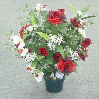 Sell 67 CM ROSE/ROSE BUD/ORCHID BUSH X 25