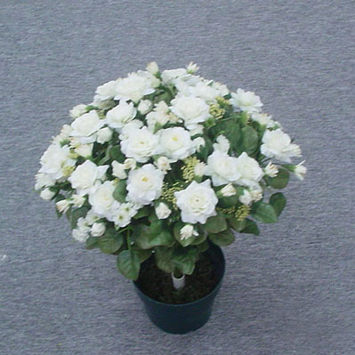 Sell 46 CM ROSE/ROSE BUD/F-M-N MIXED BUSH X 24