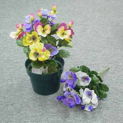 Sell 34 CM PANSY BUSH X 6