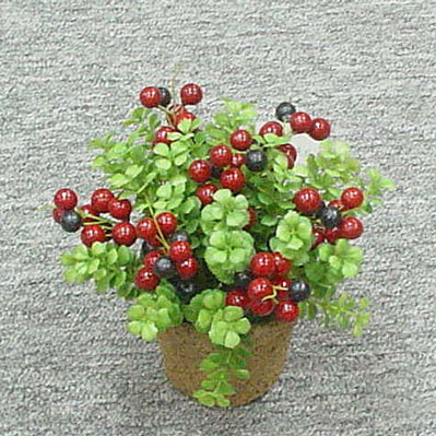 Sell 12 CM BLUE BERRY W/POT