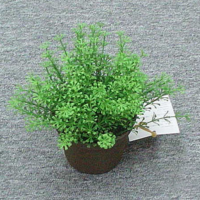 Sell 17 CM SEVEN HEART LVS W/POT