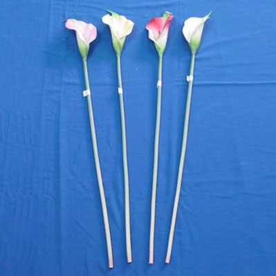 Sell 72 CM COLA LILY STEM