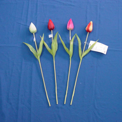 Sell 44 CM TULIP W/2 LVS