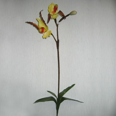 Sell 73 CM LADY SLIPPER ORCHID SPRAY X 3