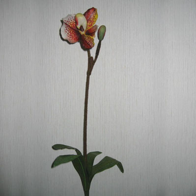 Sell 69 CM LADY SLIPPER ORCHID SPRAY X 2 W/4 LVS