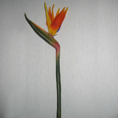 Sell 117 CM BIRD OF PARADISE