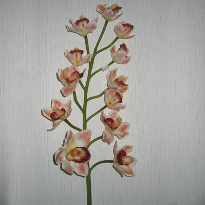 Sell 91 CM SINGLE CYMBIDIUM ORCHID SPRAY