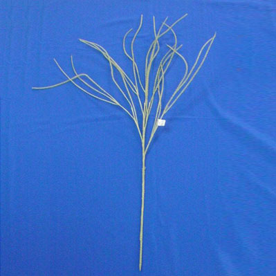 Sell 80 CM DRAGON BEARD SP X 3