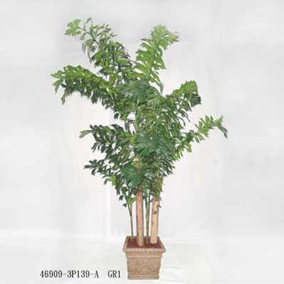 Sell 9' FISHTAIL PALM TREEN IN POT
