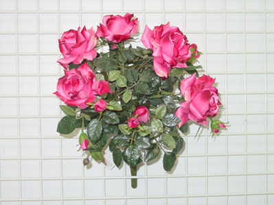 Sell ROSE BUSH X 9