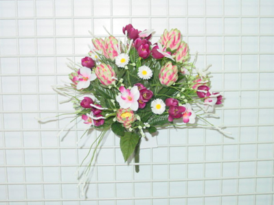 Sell HOPS/CROCUS/ORCHID BUSH X 20