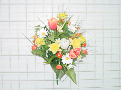 Sell TULIP CROCUS/DAISY BUSH X 20