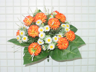 Sell BALL MUM /DAISY BUSH X 25