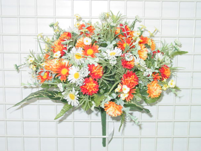 Sell POM POM/DAISY BUSH X 24