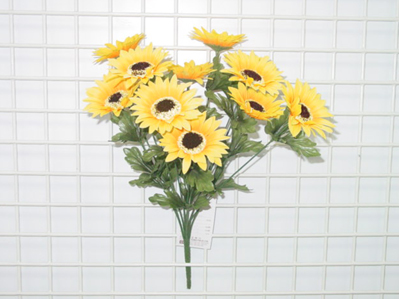 Sell SUNFLOWER BUSH X 12